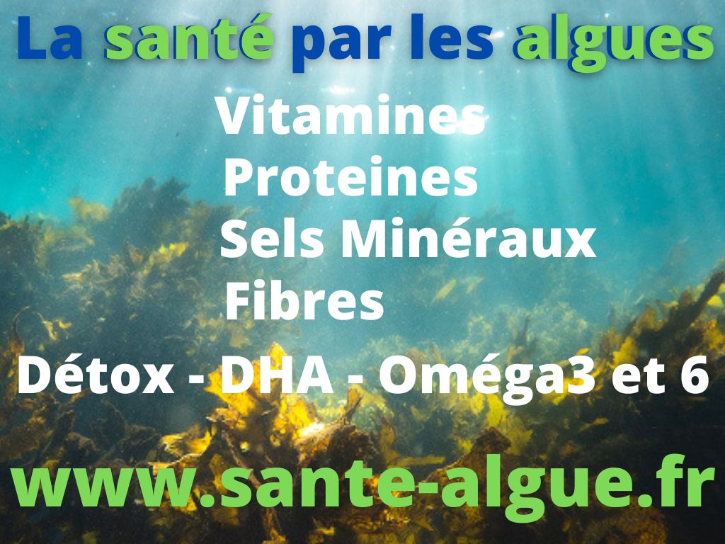 La santé par les algues